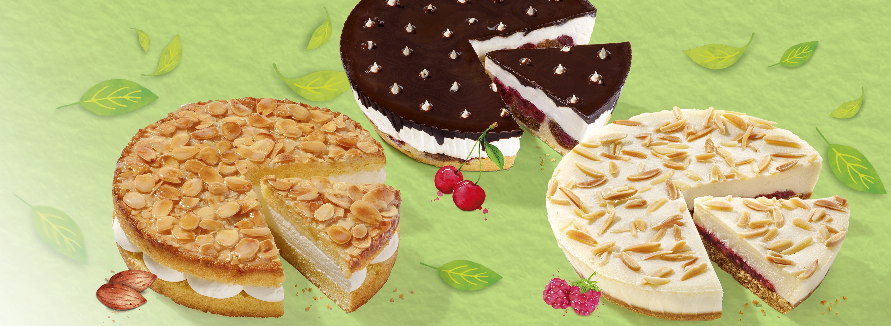 Veganer Kuchen von Coppenrath & Wiese » Torten & Kuchen vegan